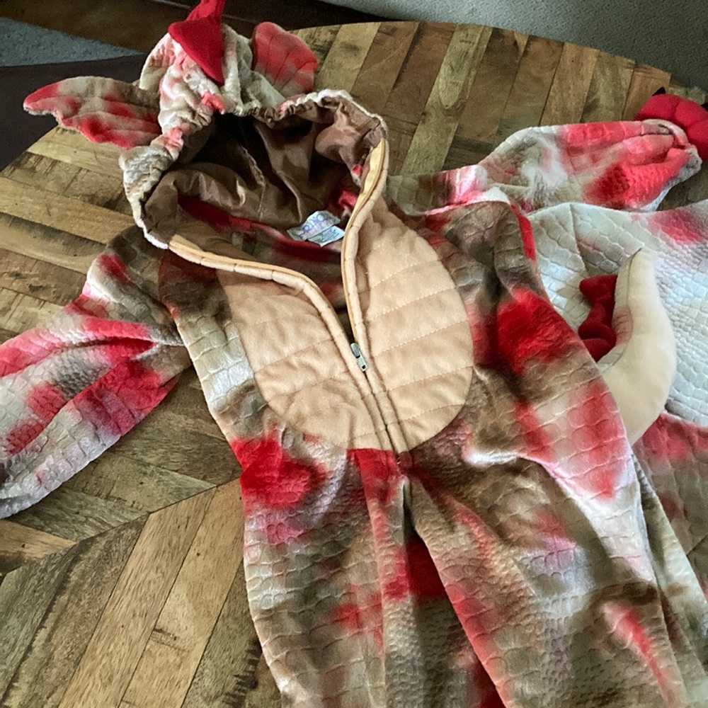 Princess Dragon costume. XS